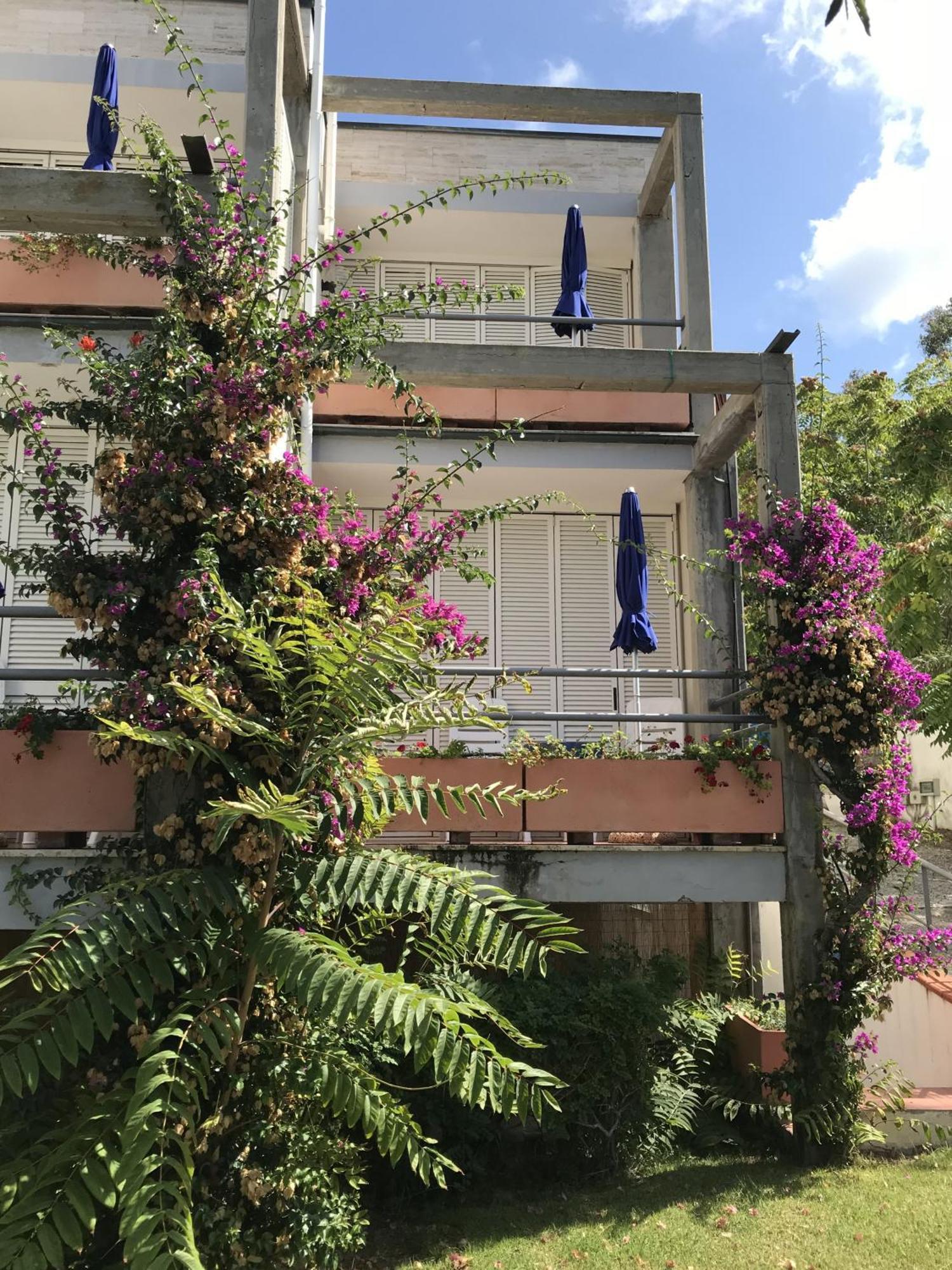 Hotel Viticcio Portoferraio Oda fotoğraf