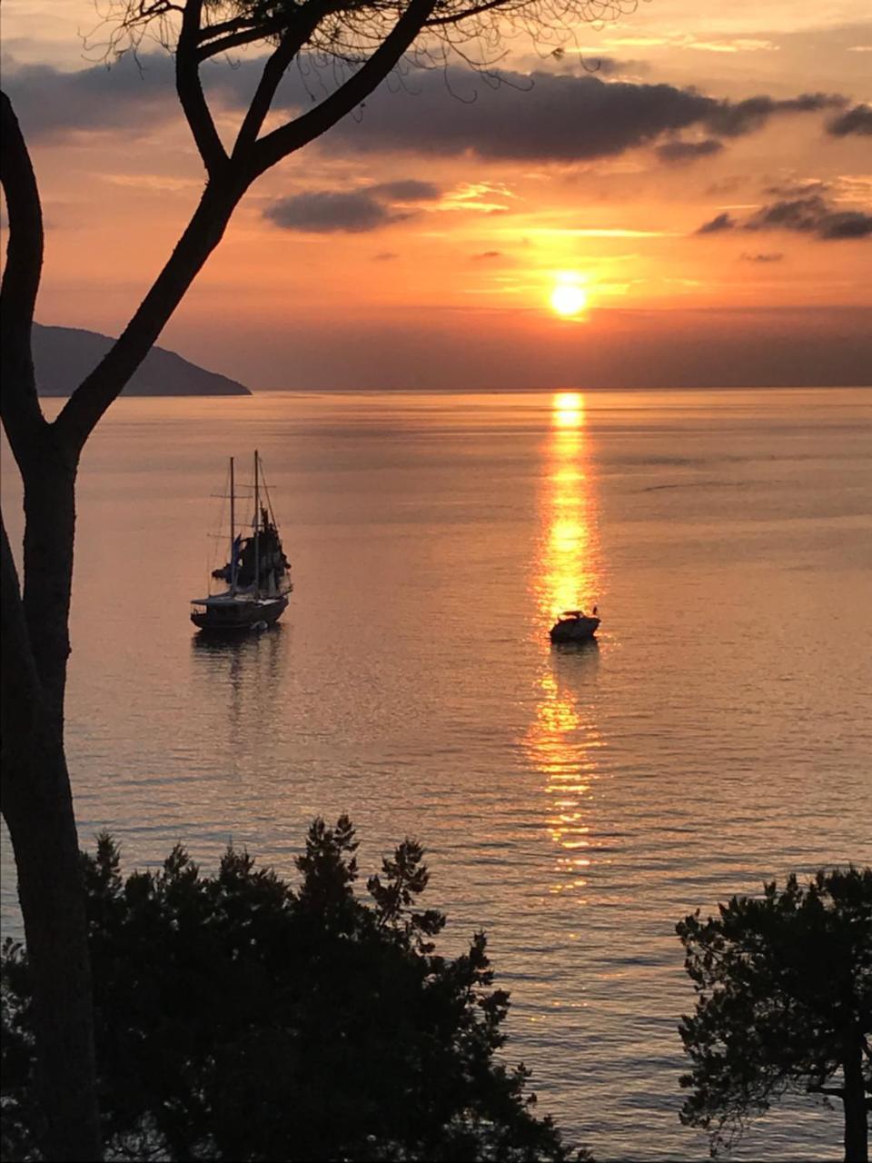 Hotel Viticcio Portoferraio Dış mekan fotoğraf