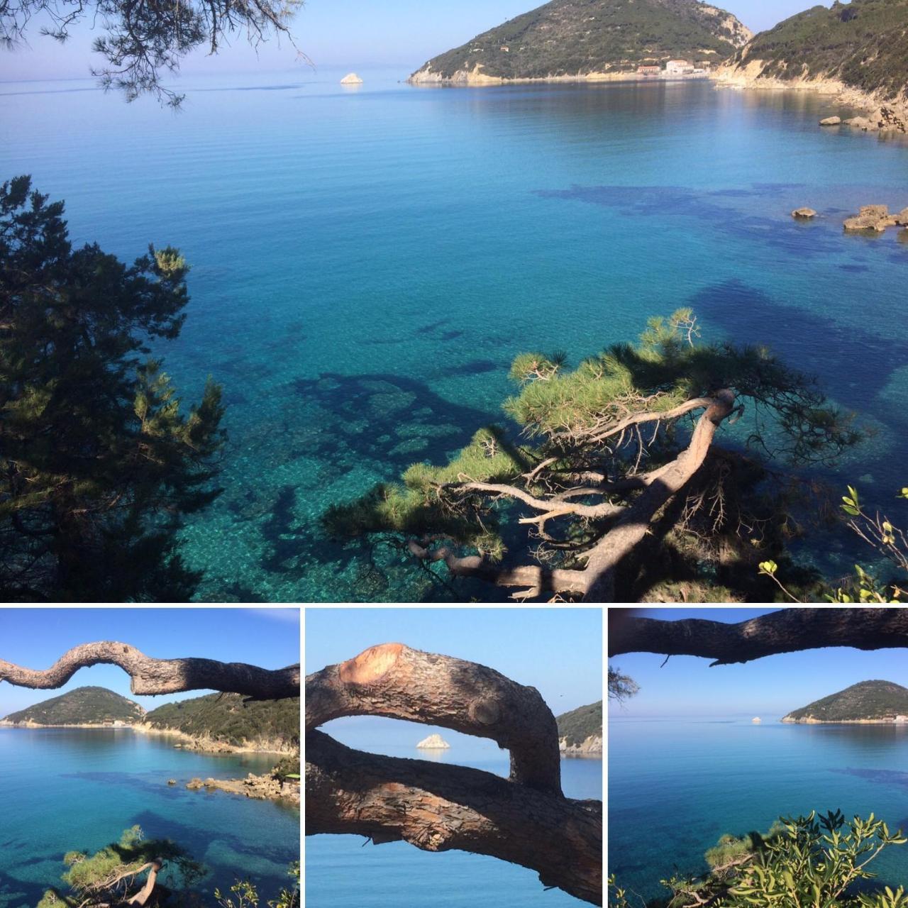 Hotel Viticcio Portoferraio Dış mekan fotoğraf